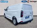 Daumennagel 3 - Ford Transit Custom Kastenwagen Trend 320L1