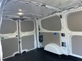 Daumennagel 21 - Ford Transit Custom Kastenwagen Trend 320L1