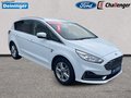 Daumennagel 7 - Ford S-MAX 2.5 l Duratec (FHEV) Titanium Autom. AHK BUSINESS/WINTER/FAMILY-PAKET TEMPOMAT 5-SITZE