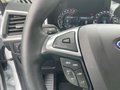 Daumennagel 21 - Ford S-MAX 2.5 l Duratec (FHEV) Titanium Autom. AHK BUSINESS/WINTER/FAMILY-PAKET TEMPOMAT 5-SITZE