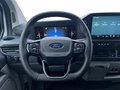 Daumennagel 9 - Ford Transit Custom Trend 320L1 Plug in Hybrid