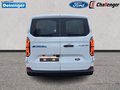 Daumennagel 4 - Ford Transit Custom Trend 320L1 Plug in Hybrid