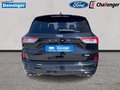 Daumennagel 5 - Ford Kuga 2.5 l Duratec Plug-In Hybrid ST-Line Autom. NAVI/DAB el. HECKKLAPPE WINTER-PAKET RFK PDC TEMPOMAT KLIMAAUTOMATIK