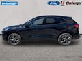 Daumennagel 3 - Ford Kuga 2.5 l Duratec Plug-In Hybrid ST-Line Autom. NAVI/DAB el. HECKKLAPPE WINTER-PAKET RFK PDC TEMPOMAT KLIMAAUTOMATIK