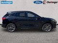 Daumennagel 7 - Ford Kuga 2.5 l Duratec Plug-In Hybrid ST-Line Autom. NAVI/DAB el. HECKKLAPPE WINTER-PAKET RFK PDC TEMPOMAT KLIMAAUTOMATIK