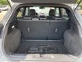 Daumennagel 23 - Ford Puma 1.0 l EcoBoost Hybrid MHEV ST-Line X NAVI/DAB/B&O FAHRASSISTENZ/WINTER/KOMFORT-PAKET