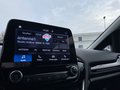 Daumennagel 17 - Ford Fiesta Cool & Connect RADIO/DAB EASY-PARKING/WINTER-PAKET KLIMA TEMPOMAT