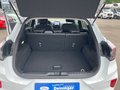 Daumennagel 24 - Ford Puma 1.0 l EcoBoost Hybrid (MHEV) Titanium X Autom. NAVI/B&O BI-LED WINTER/KOMFORT-PAKET TEMPOMAT PDC
