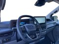 Daumennagel 10 - Ford Transit Custom Kasten 320 L1 Trend PHEV