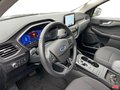 Daumennagel 10 - Ford Kuga 2.5 Duratec Hybrid (FHEV) Titanium Autom. NAVI/DAB/RFK AHK KLIMAAUTOMATIK TEMPOMAT WINTER-PAKET PDC