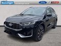 Daumennagel 1 - Ford Kuga ST-Line X