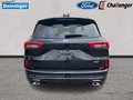Daumennagel 4 - Ford Kuga ST-Line X