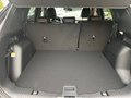 Daumennagel 24 - Ford Kuga ST-Line X