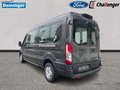 Daumennagel 3 - Ford 350L3 Trend Kombi Sitz Paket 8A