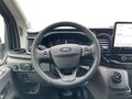 Daumennagel 11 - Ford 350L3 Trend Kombi Sitz Paket 8A