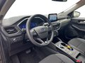 Daumennagel 11 - Ford Kuga 2.5 Duratec (FHEV) Hybrid Titanium X Autom. NAVI/DAB/B&O el. HECKKLAPPE TECHNOLOGIE/FAHRASSISTENZ/WINTER-PAKET