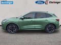 Daumennagel 2 - Ford Kuga ST-Line X