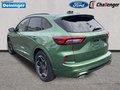 Daumennagel 3 - Ford Kuga ST-Line X