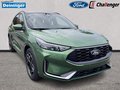 Daumennagel 7 - Ford Kuga ST-Line X