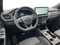 Daumennagel 10 - Ford Kuga ST-Line X