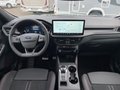 Daumennagel 12 - Ford Kuga ST-Line X