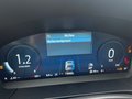Daumennagel 18 - Ford Kuga ST-Line X