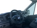 Daumennagel 6 - Ford Transit Kasten Basis 2.0 EcoBlue 350 L4H3 KLIMA EXPRESS-LINE/TECHNOLOGIE-PAKET