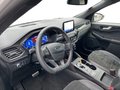 Daumennagel 9 - Ford Kuga 2.5 l Duratec Hybrid (FHEV) ST-Line X Autom. AWD NAVI/B&O/DAB TECHNOLOGIE/FAHRERASSISTENZ/WINTER-PAKET STYLING-PAKET/ST-LINE el. HECKKLAPPE