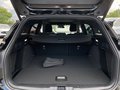 Daumennagel 22 - Ford Focus ST-Line