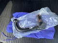 Daumennagel 25 - Ford Kuga 2.5 l Duratec Plug-In Hybrid Titanium Autom. NAVI/DAB AHK FAHRASSISTENZ/WINTER-PAKET LED-SCHEINWERFER KLIMAAUTOMATIK