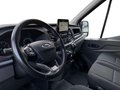 Daumennagel 10 - Ford Transit EcoBlue Kasten 350 L3H2 Trend RADIO&DAB EXPRESS-LINE-PAKET TEMPOMAT beh. WSS