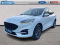 Daumennagel 1 - Ford Kuga 2.5 l Duratec Plug-In Hybrid (PHEV) ST-Line X Autom. NAVI/DAB/B&O AHK el. HECKKLAPPE WINTER-PAKET TEMPOMAT KLIMAAUTOMATK