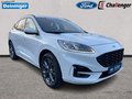 Daumennagel 7 - Ford Kuga 2.5 l Duratec Plug-In Hybrid (PHEV) ST-Line X Autom. NAVI/DAB/B&O AHK el. HECKKLAPPE WINTER-PAKET TEMPOMAT KLIMAAUTOMATK