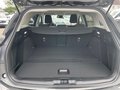 Daumennagel 23 - Ford Focus Turnier Titanium X