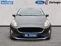 Daumennagel 8 - Ford Fiesta Trend RADIO/DAB WINTER/KOMFORT/TECHNIK-PAKET LMF PDC