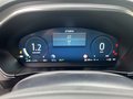 Daumennagel 12 - Ford Focus 1,0 EcoBoost Winterpaket