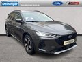 Daumennagel 1 - Ford Focus 1,0 EcoBoost Winterpaket