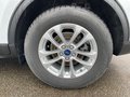 Daumennagel 7 - Ford Kuga 2.5 l Duratec Plug-In Hybrid Titanium Autom. NAVI/DAB FAHRASSISTENZ/WINTER-PAKET LED-SCHEINWERFER PDC