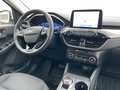 Daumennagel 14 - Ford Kuga 2.5 l Duratec Plug-In Hybrid Titanium Autom. NAVI/DAB FAHRASSISTENZ/WINTER-PAKET LED-SCHEINWERFER PDC
