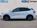 Daumennagel 3 - Ford Kuga 2.5 Duratec Plug-In Hybrid ST-Line X Autom. NAVI/DAB/B&O AHK FAHRASSISTENZ/TECHNOLOGIE/WINTER-PAKET el. HECKKLAPPE