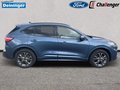 Daumennagel 6 - Ford Kuga 2.5 l Duratec Plug-In Hybrid ST-Line X NAVI/DAB/B&O FAHRASSISTENZ/TECHNOLOGIE/WINTER-PAKET el. HECKKLAPPE