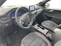 Daumennagel 10 - Ford Kuga 2.5 l Duratec Plug-In Hybrid ST-Line X NAVI/DAB/B&O FAHRASSISTENZ/TECHNOLOGIE/WINTER-PAKET el. HECKKLAPPE
