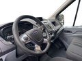 Daumennagel 11 - Ford Transit Kasten Trend 350 L3H2 AHK RADIO&DAB SICHT-PAKET III KLIMA PDC