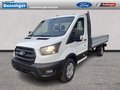 Daumennagel 1 - Ford Transit 350L3 Trend Pritsche