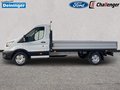 Daumennagel 2 - Ford Transit 350L3 Trend Pritsche