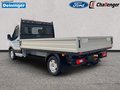 Daumennagel 3 - Ford Transit 350L3 Trend Pritsche