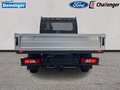 Daumennagel 4 - Ford Transit 350L3 Trend Pritsche