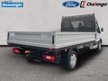 Daumennagel 5 - Ford Transit 350L3 Trend Pritsche