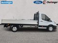 Daumennagel 6 - Ford Transit 350L3 Trend Pritsche