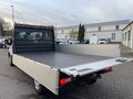 Daumennagel 23 - Ford Transit 350L3 Trend Pritsche